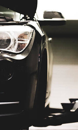 portfolio-7 portfolio-7