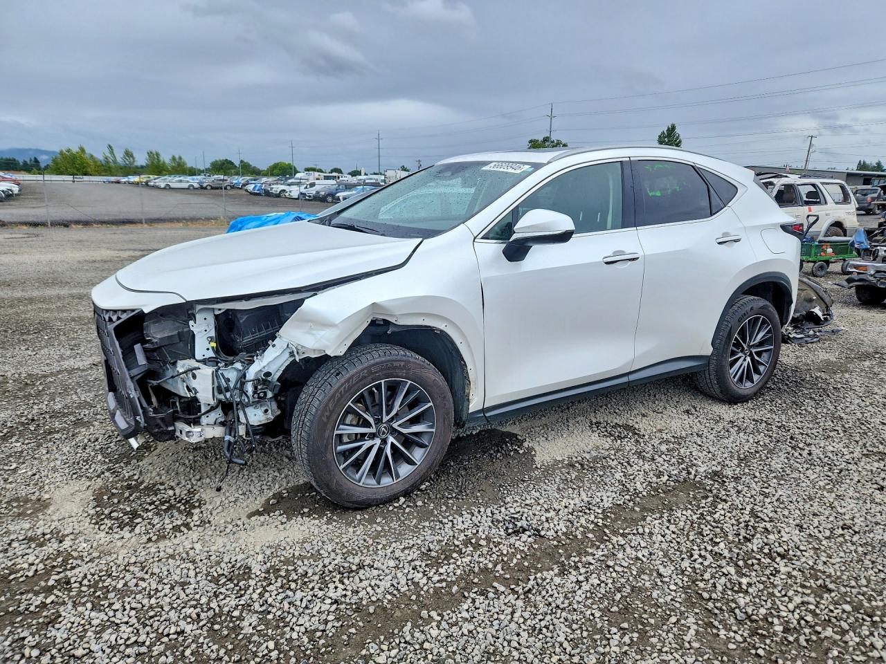 2023 Lexus NX — Front End — aukcja Copart or - eugene - 1