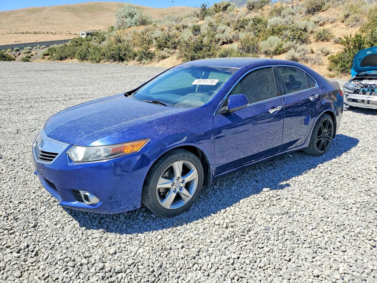 2013 Acura TSX — Minor Dent/Scratches — aukcja Copart nv - reno - 1