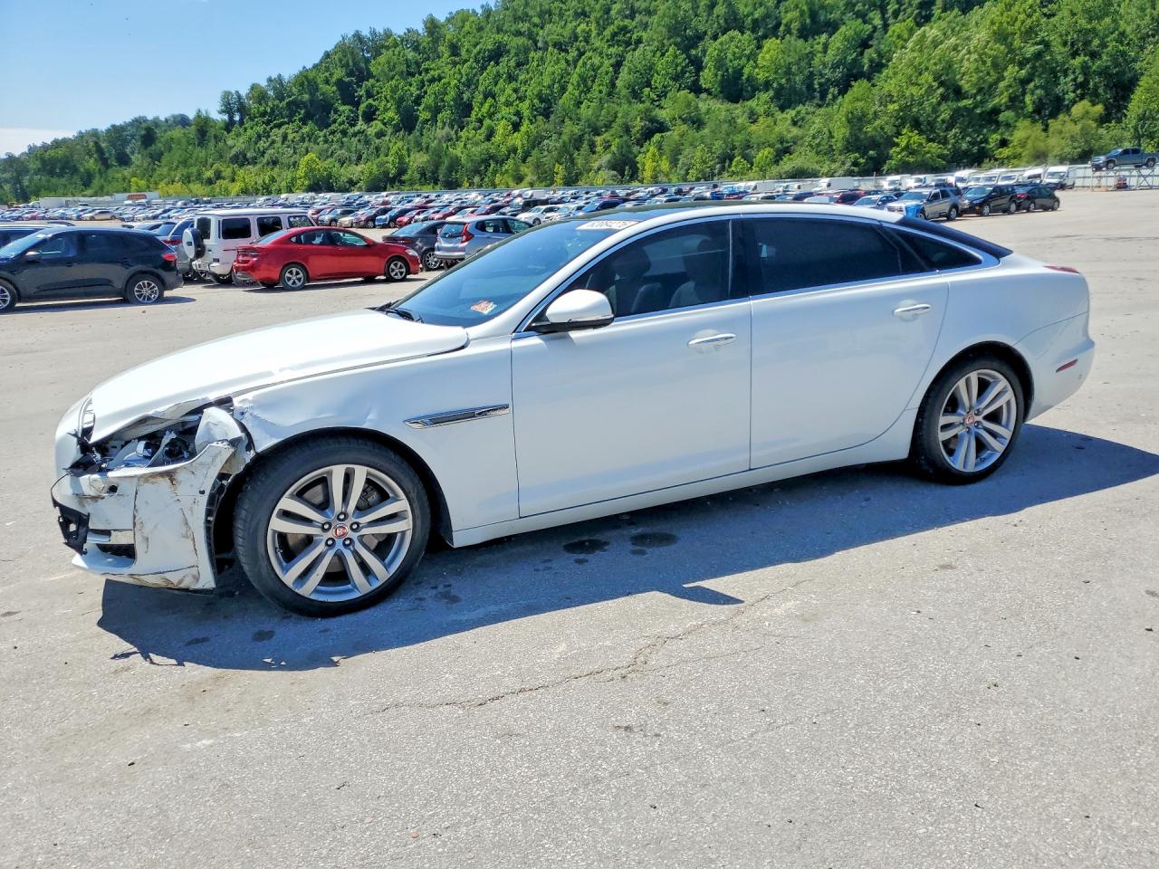 2016 Jaguar XJ — Front End — aukcja Copart wv - charleston - 1